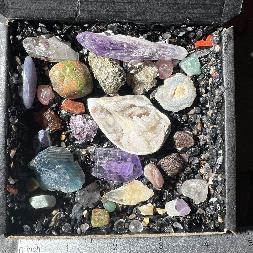 Shell Box