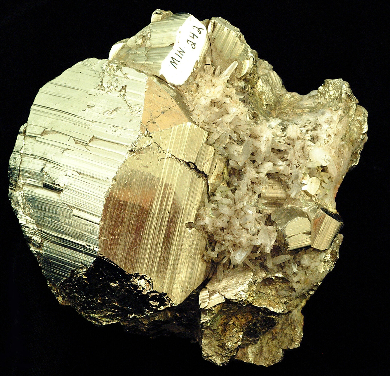Brass-yellow pyrite with blocky faces reflecting bright, metal-like highlights.