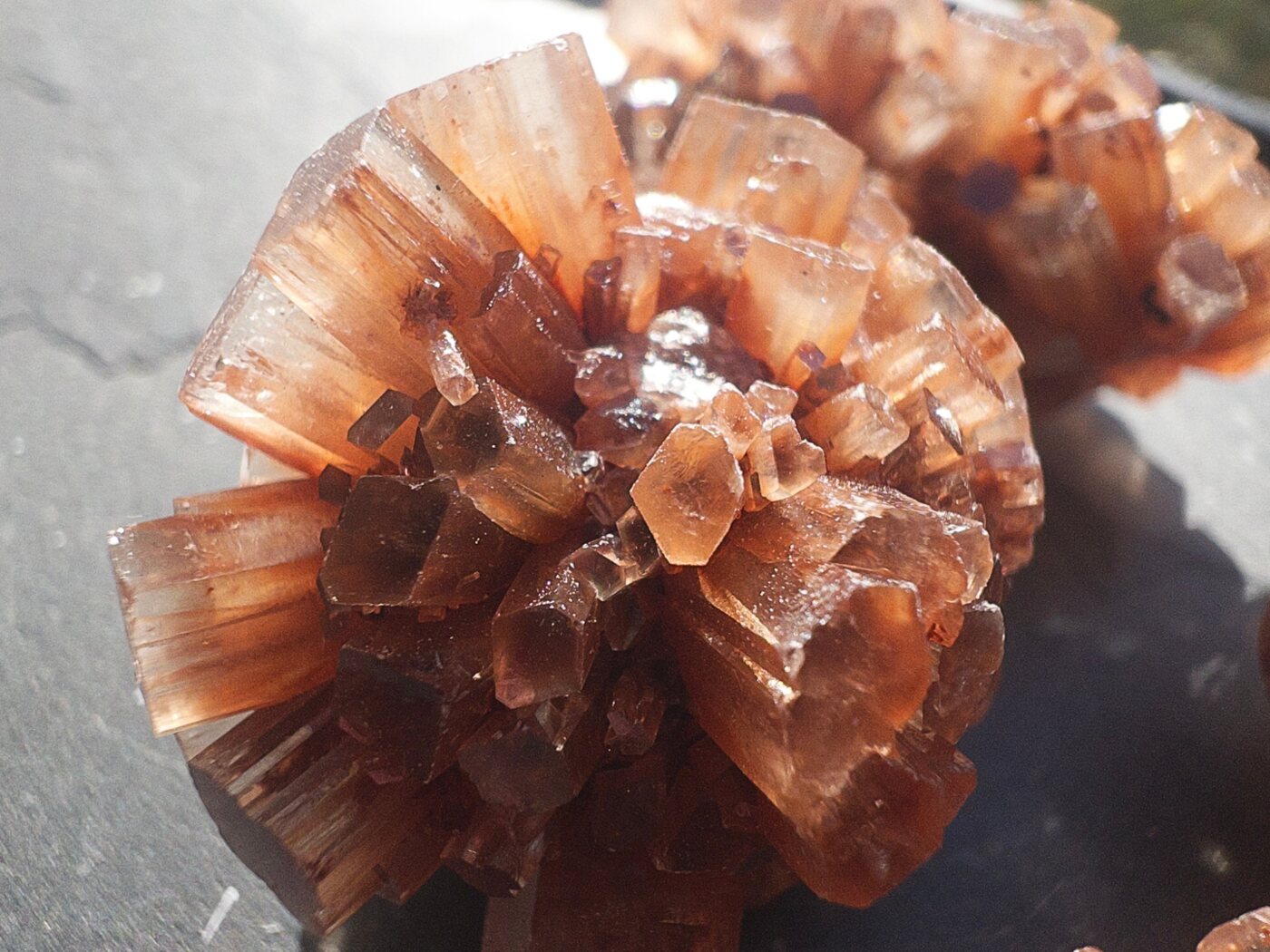 Aragonite Star Cluster